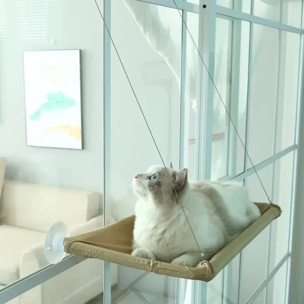 Hamac de fenêtre pour chat — ventouses, jusqu'à 20 kg