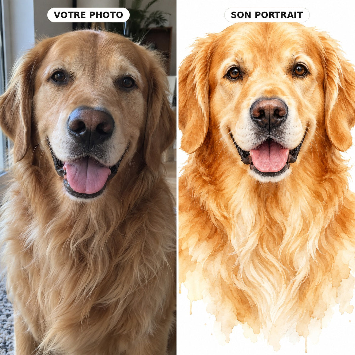 L'Aquarelle — portrait de votre animal