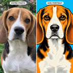 Le Pop — portrait de votre animal