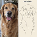 Le Trait — portrait de votre animal
