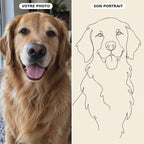 Le Trait — portrait de votre animal