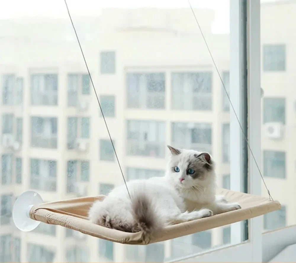 Hamac de fenêtre pour chat — ventouses, jusqu'à 20 kg