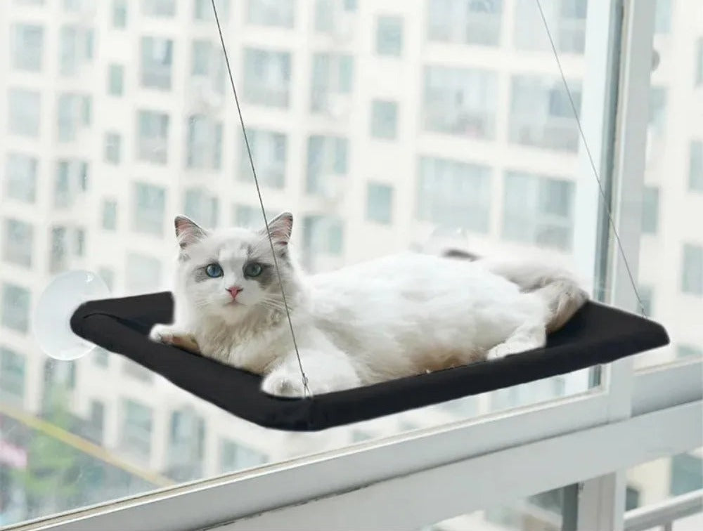 Hamac de fenêtre pour chat — ventouses, jusqu'à 20 kg