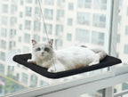Hamac de fenêtre pour chat — ventouses, jusqu'à 20 kg